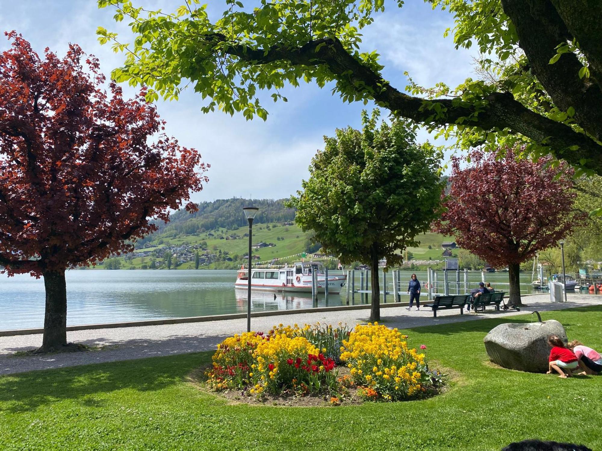 Chalet Seeblick Sarnen Exterior photo